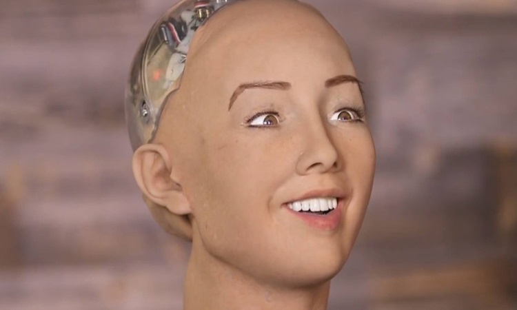 Inteligência Artificial e a pergunta que ninguém fez à Sophia